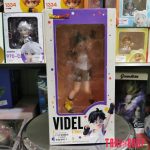 FIG220 – Videl – Recovery Ver (9)